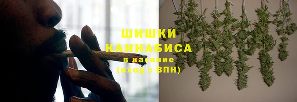 крисы Вязьма