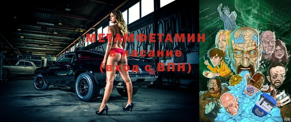 крисы Вязьма