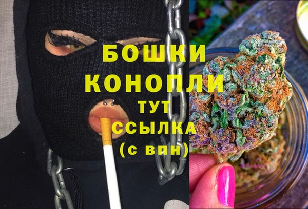 крисы Вязьма