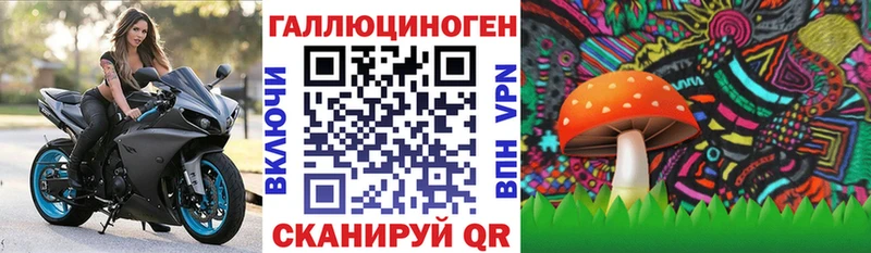 маркетплейс клад  Питкяранта  Псилоцибиновые грибы Magic Shrooms 